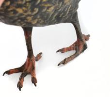 Bécsi bronz szobor, Franz Xaver Bergmann, fácán, hidegen festett, jelzett, sorszámozott, egyik lába ...