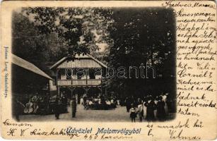 1902 Szászkabánya, Németszászka, Sasca Montana; Malomvölgy, vendéglő, nyaraló. Johann Lang kiadása / "Susara" Mühlthal / valley, restaurant, villa (EB)