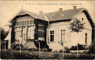 1915 Algyógy, Geoagiu; M. Kir. Állami Vasgyári szanatórium igazgatói lak / sanatorium of the iron works (factory), director&#039;s villa (EK)