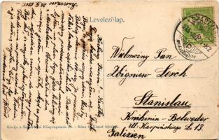 1915 Algyógy, Geoagiu; M. Kir. Állami Vasgyári szanatórium igazgatói lak / sanatorium of the iron wo...