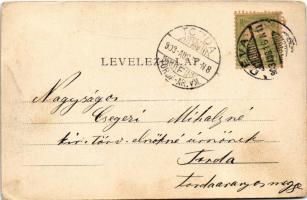 1903 Déva, Fő tér, városháza, Hirsch Testvérek, Szőcs F. Lajos, Holtzer Károly, Rhemann és Lobstein ...