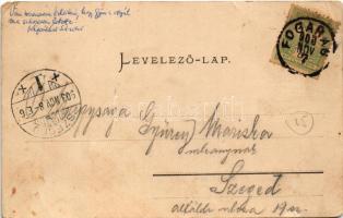 1903 Fogaras, Fagaras; Dr. Hochmann villa (EK)