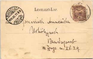 1900 Hátszeg, Hateg; Sétatér. Groszeck Károly kiadása / promenade (ázott / wet damage)