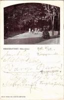 1908 Bikszádfürdő, Baile Bicsad, Bixad; Bükk sétány. Weiss L. és F. kiadása / promenade (EB)