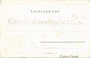 1908 Bikszádfürdő, Baile Bicsad, Bixad; Bükk sétány. Weiss L. és F. kiadása / promenade (EB)