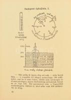 Ferenczi István: Az ország szíve. Regényes tanulmányút Budapesten. Bp., 1943, Dante, 95 p. A borító ...