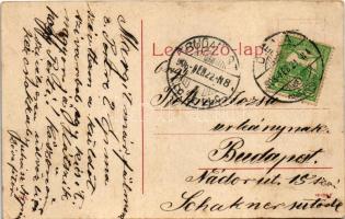 1908 Déva. W.L. ? 508. (EK)