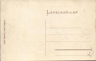 Fogaras, Fagaras; Olthíd. Thierfeld Dávid kiadása / Altbrücke / Podul Oltului / bridge