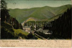 1903 Korytnicza-fürdő, Korytnica-kúpele; a fürdő látképe. Kohn A. kiadása / general view, spa (EK)