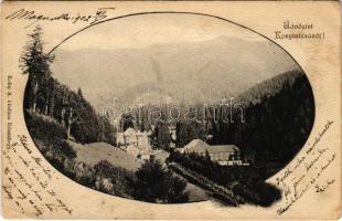 1902 Korytnicza-fürdő, Korytnica-kúpele; a fürdő látképe. Kohn A. kiadása / general view, spa (fl)