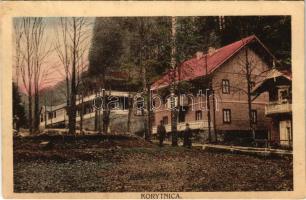 Korytnicza-fürdő, Korytnica-kúpele; nyaralók / villas (Rb)