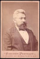 cca 1880 Kriesch János (1834-1888) biológus, zoológus, mezőgazdász, az MTA levelező tagja, Körösfői-Kriesch Aladár festőművész édesapja, keményhátú kabinetfotó Klösz György budapesti műterméből, 16×10,5 cm