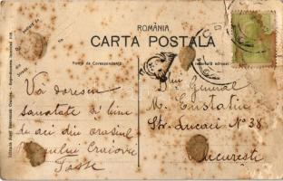 Craiova, Királyi; Parcul Bibescu / castle (tear)