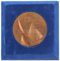 ~2010. "Kővári Károly emlékverseny Balatonfüred I. / BKV Előre SC" vitorlás sport, kétolda...