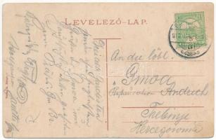 1913 Beszterce, Bistritz, Bistrita; Allee Gasse / street / utca. M. Haupt kiadása (szakadások / tear...