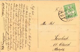 1915 Segesvár, Schässburg, Sighisoara; vár bástya. Fritz Teutsch kiadása / castle bastion