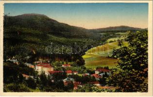 Bártfafürdő, Bardejovské Kúpele, Bardiov; látkép. Viktor Neumann kiadása / general view