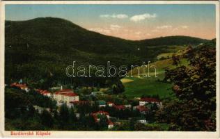 Bártfafürdő, Bardejovské Kúpele, Bardiov; látkép. Viktor Neumann kiadása / general view