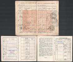 cca 1909-1930 Polgárdy Vilma, Polgárdy Géza turisztikai szakíró lányának igazolványai: M. Kir. Posta...