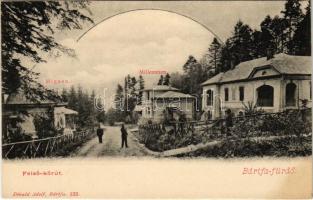 Bártfafürdő, Bardejovské Kúpele, Bardiov; Felső körút, Mignon Millennium villák. Divald Adolf 133. / street view. villas (fl)