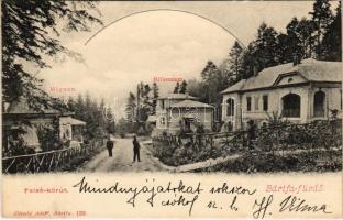 Bártfafürdő, Bardejovské Kúpele, Bardiov; Felső körút, Mignon Millennium villák. Divald Adolf 133. / street view, villas (fl)