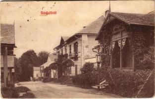 Bártfafürdő, Bardejovské Kúpele, Bardiov; Kőhegy villa, utca. Pelcz Lipót kiadása / street view, villas (fa)