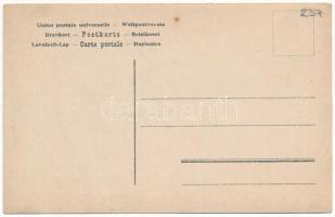 Gyergyólibántelep, Libán (Gyergyóújfalu, Suseni); Vadász kastély (?), lovashintó, vadász puskával / ...