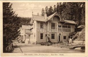 Stoószfürdő, Stos Kúpele; Villa &quot;Riaditel&#039; stvo&quot; (kis szakadás / small tear)