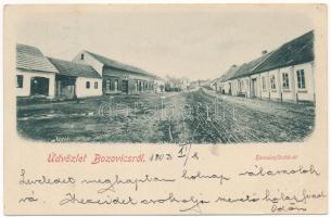 1903 Bozovics, Bozovici; Herculesfürdői út, Sparger Ignác üzlete / street, shop