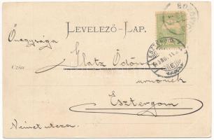 1903 Bozovics, Bozovici; Herculesfürdői út, Sparger Ignác üzlete / street, shop