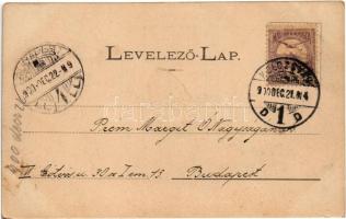 1900 Kolozsvár, Cluj; Takarékpénztár és Hitelbank palotája, Schwartz József üzlete, kemence raktár. ...