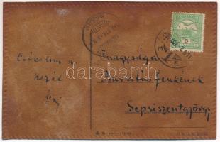 1908 Kolozsvár, Cluj; valódi bőrből készült képeslap / postcard made of real leather (EB)