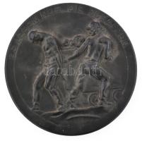 Es Leben nur. die Schaffen. /Csak a rátermettek élnek/ Német szocialista, bányász emlékplakett. d: 16cm