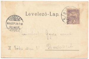 1900 Szatmárnémeti, Satu Mare; Deák tér. Lövy Miksa kiadása / square, shops. Art Nouveau, floral (EK...