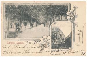 Báznafürdő, Baile Bazna, Bad-Baassen; Nagy sétatér, Szikla. Fritz Guggenberger / promenade, rock. Ar...