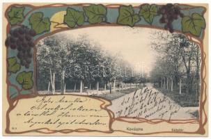 1905 Kovászna, Covasna; Sétatér. Szecessziós szőlős montázs / promenade. Art Nouveau litho montage with grapes