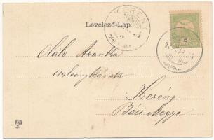 1905 Kovászna, Covasna; Sétatér. Szecessziós szőlős montázs / promenade. Art Nouveau litho montage w...