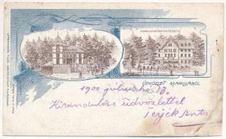 1900 Marilla, Marila; Gyógyintézet, Gross Gyula áruháza és saját kiadása, üzlet / spa, shop. Art Nouveau (r)