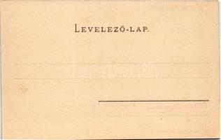 Kolozsvár, Cluj; Keleti rész a fellegvárról. Kováts P. fiai 65. / Eastern part of the city (vágott /...