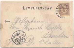 1900 Nagykároly, Carei; Szecessziós fémes hatású fóliás képeslap. Eigner Simon kiadása / Art Nouveau...
