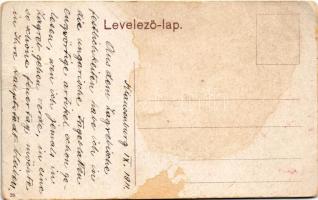 Kolozsvár, Cluj; Wesselényi Miklós utca, Pap, Kovács József üzlete, Pannonia szálloda / street, shop...