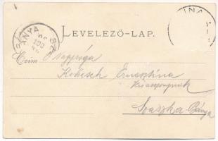 1898 (Vorläufer) Anina, Stájerlakanina, Stájerlak, Steierdorf; vasgyár. V. Rose kiadása / iron works...