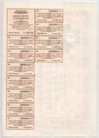 Makó 1929. "Makói Népbank Részvénytársaság" részvénye 50P-ről szelvényekkel, szárazpecsétt...