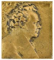 Friedrich Schiller portré, bronz plakett, jelzés nélkül, 6x5,5 cm