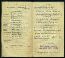 1937 Lichtschein Samu izraelita vallású földbirtokos részére kiállított útlevél, a fényképet kitépté...