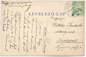 1913 Temesvár, Timisoara; Cs. és kir. gyalogsági hadapródiskola, emlékmű, híd, főépület és szobák, é...