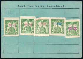 1939-1943 Bp., Magyar Szőlősgazdák Országos Egyesülete tagsági igazolvány Lichtschein Samu izraelita...