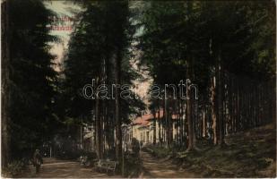 1910 Tusnádfürdő, Baile Tusnad; Cukrászda. Dragomán S. J. kiadása / confectionery (EK)