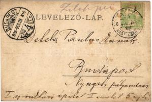 1905 Zilah, Zalau; Wesselényi szobor / statue, monument (EK)