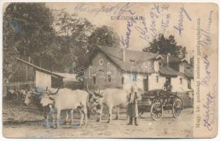 1912 Kolozsvár, Cluj; M. kir. gazdasági tanintézet gazdasági udvara, ökrös szekér / farmer school, ox cart (ázott sarkak / wet corners)